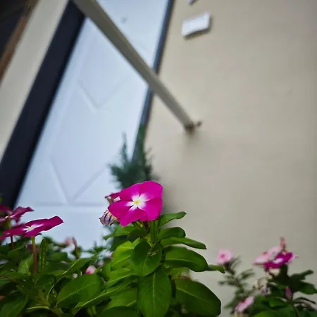 Apartament Ad Messinium