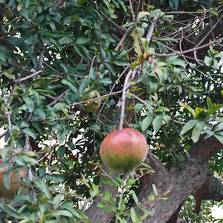 Ad Messinium Appartement Pompéi